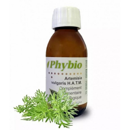Artemisia vulgaris HATM - 125ml