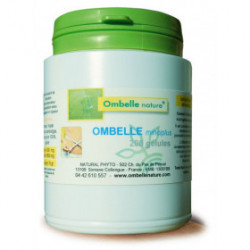 MINCIPLUS - Gélules végétales - DDM 12/22
