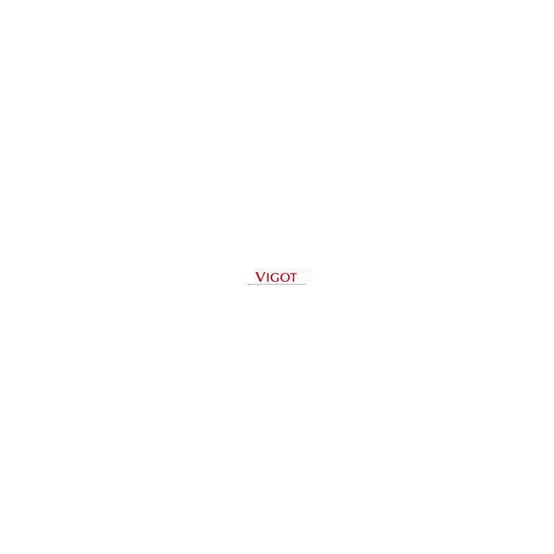 Editions VIGOT