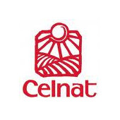Celnat