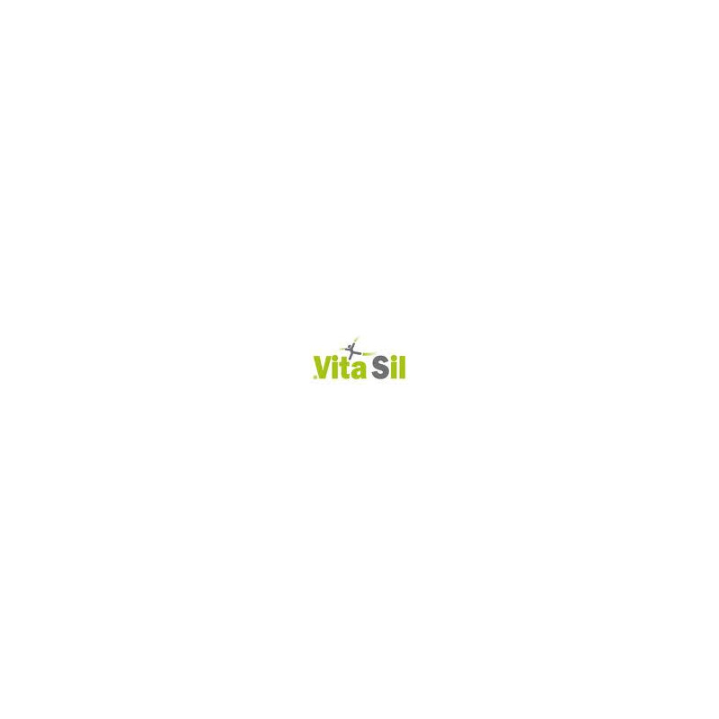 Dexsil Labs Vitasil