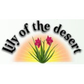 Lily of The Desert